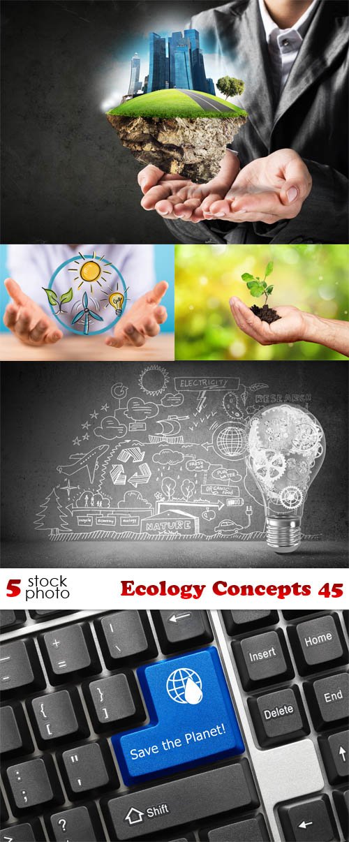 Photos - Ecology Concepts 45