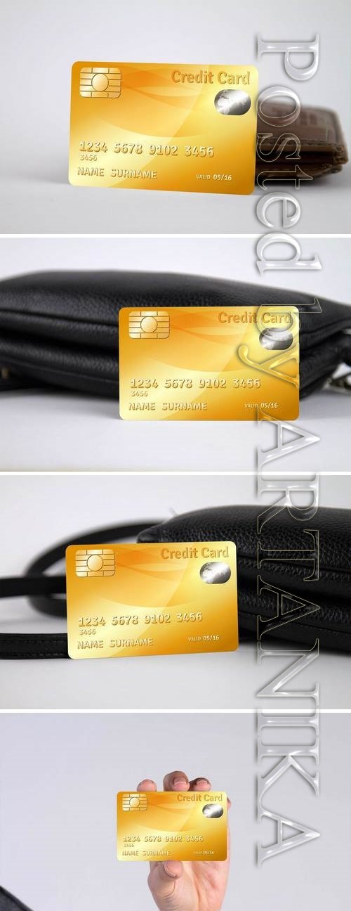 Credit Card Mock Up Vol 02