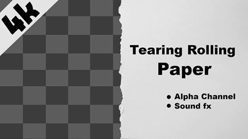 Tearing Rolling Paper 23621125