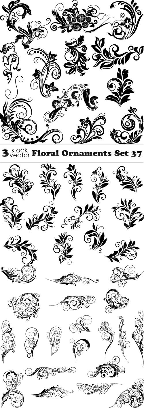 Vectors - Floral Ornaments Set 37