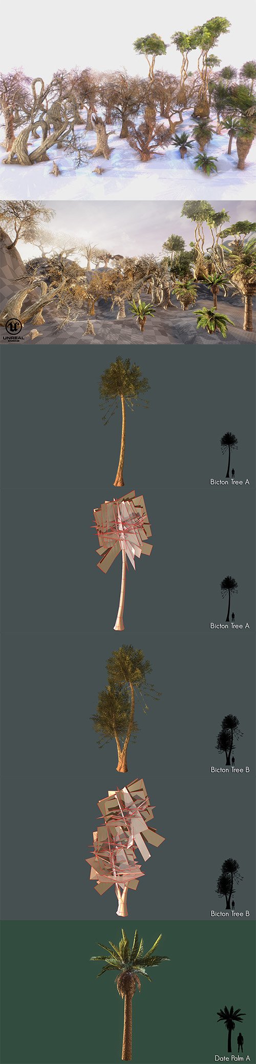 Low Poly Tree Pack Low-poly 3D model