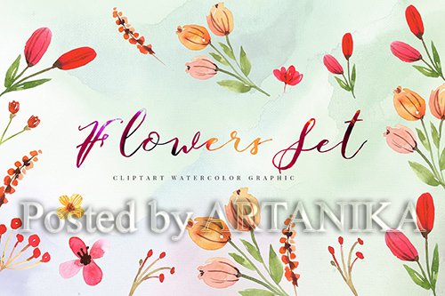 15 Watercolor Flowers Set Illustration