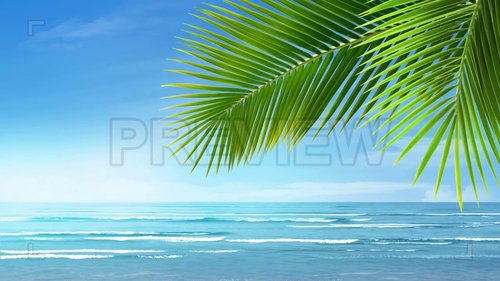 MA - Bright Blue Tropical Beach 233050