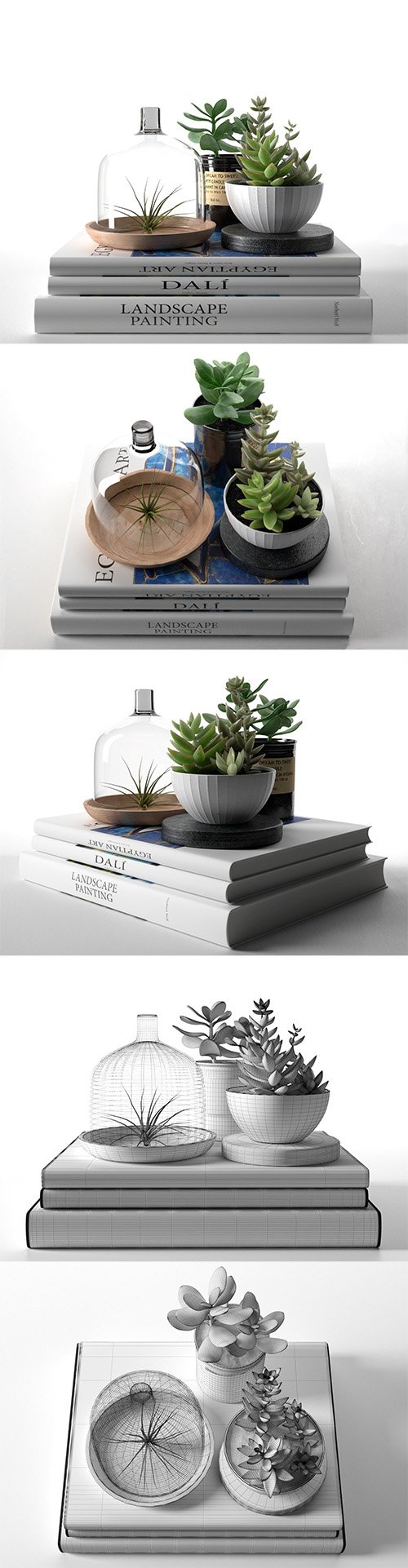 Books with Succulents and Air Plant 3D model