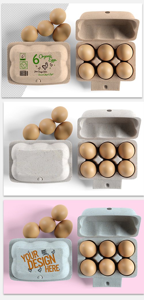 PSDT Egg Carton Packaging Design Mockup 274452094