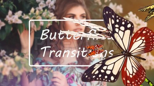 MA - Butterflies Transitions 227558