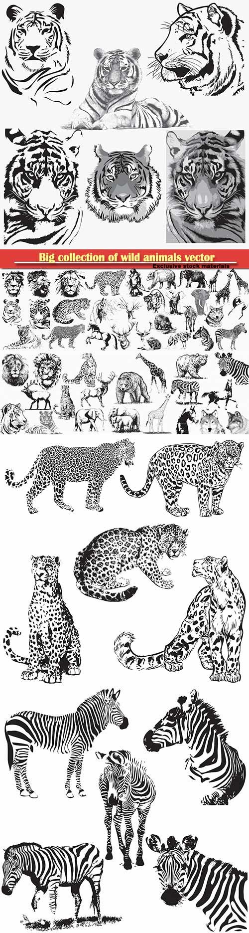 Big collection of wild animals vector illustration