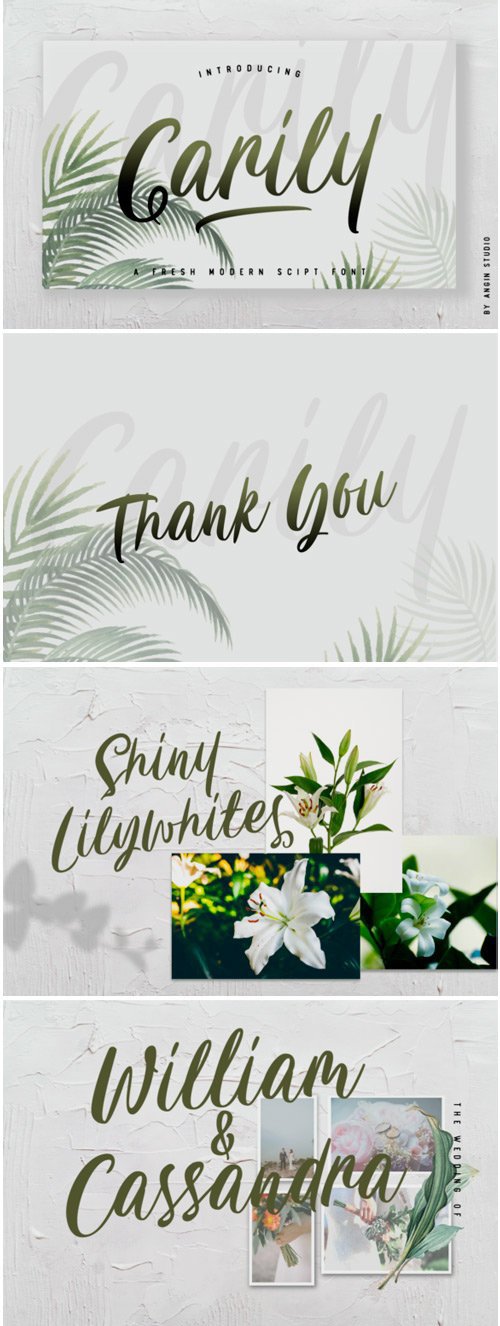 Carily Font