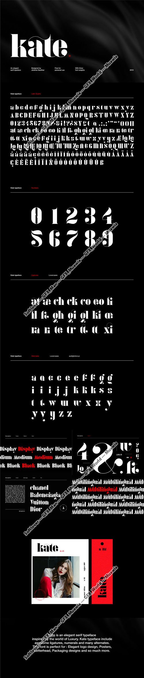 Kate - Elegant Typeface