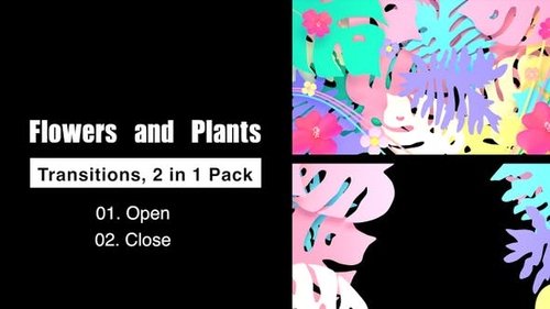 VH - Flowers And Plants Transitions Pack 23882163