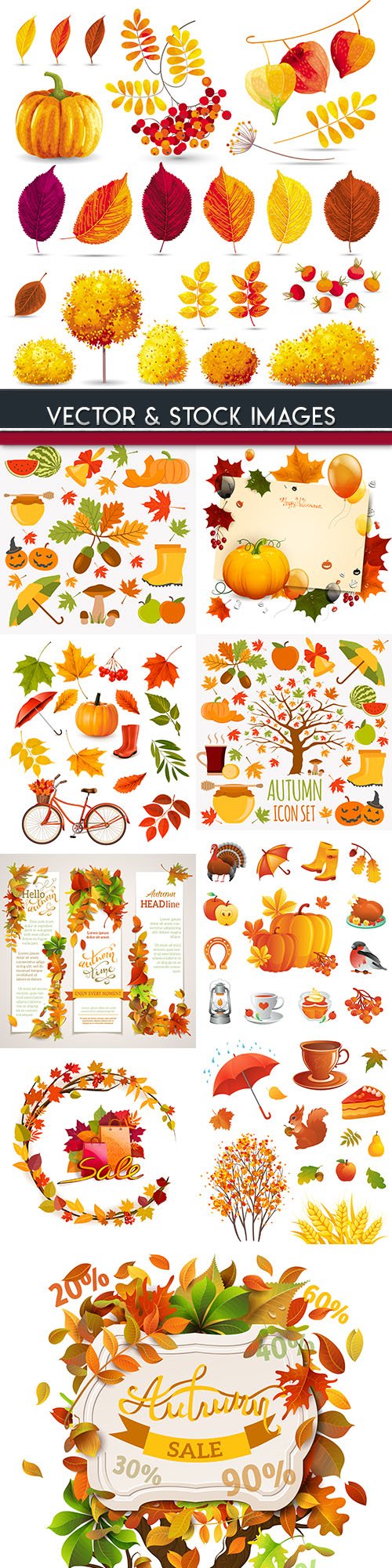 Autumn icons and leaves decorative elements design