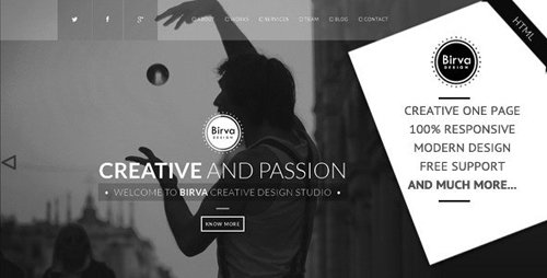 ThemeForest - Birva Design v1.0 - Creative One Page Theme - 7166530
