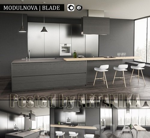 Kitchen Blade 3D Model Template