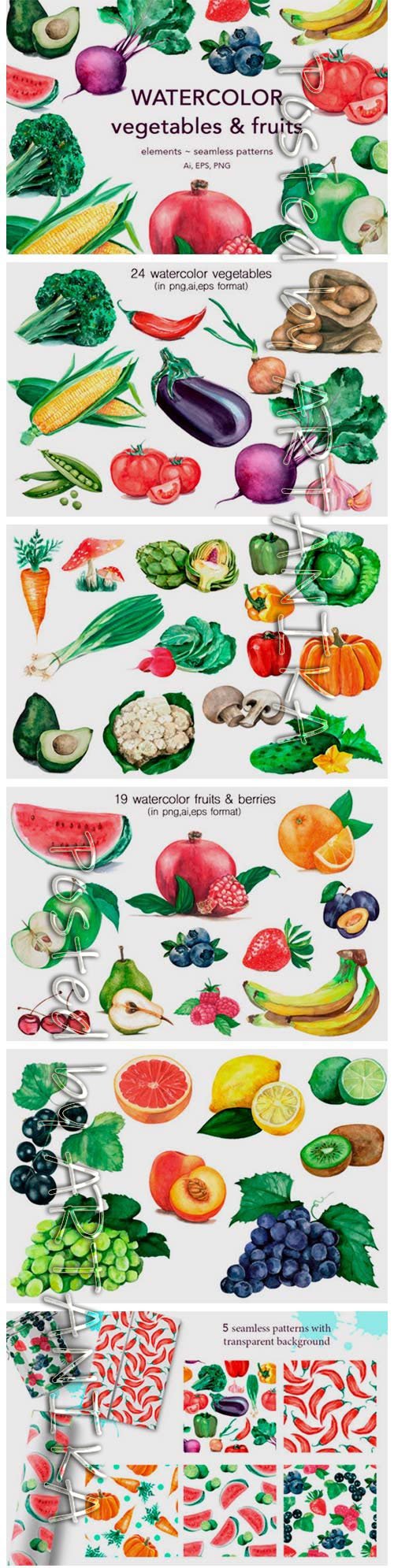 Watercolor Vegetables & Fruits 2151243