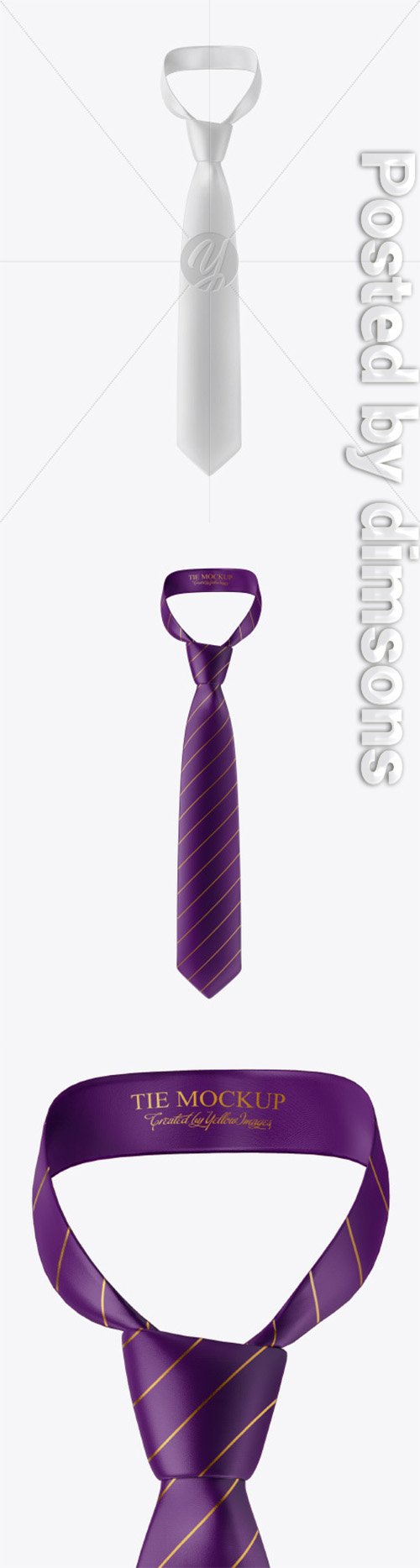 Glossy Tie Mockup 50540 TIF
