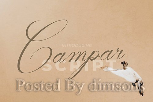 Campar Script