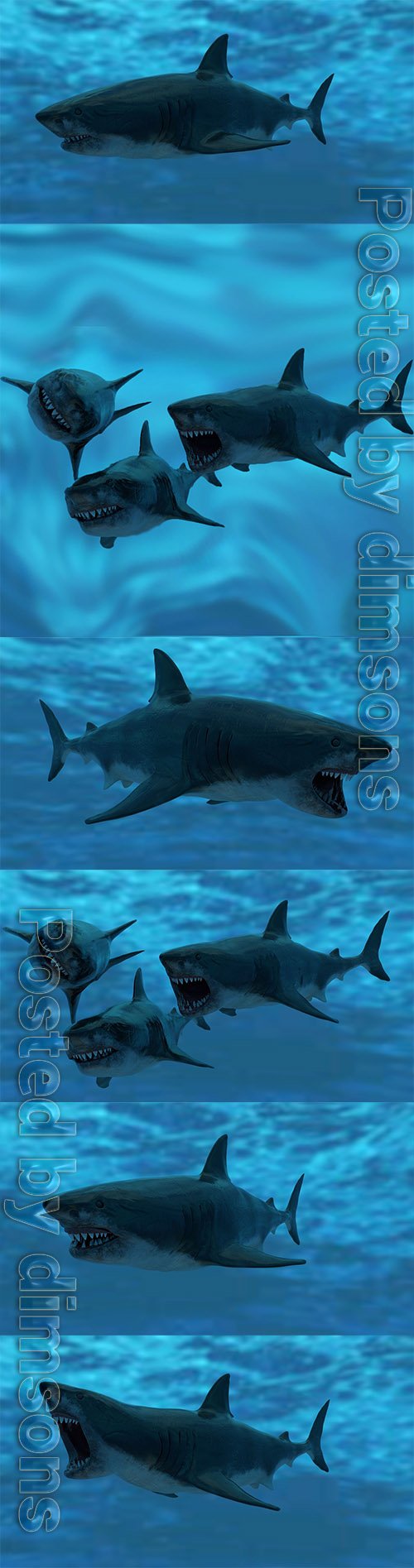Great White Shark Model Unreal Engine 4 7 animations Pack Low-poly 3D model