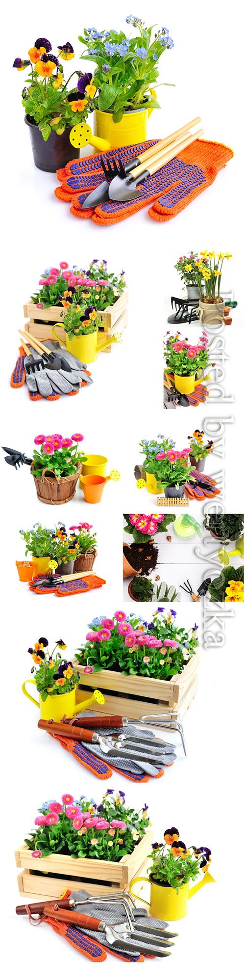 Gardening tools and spring flowers