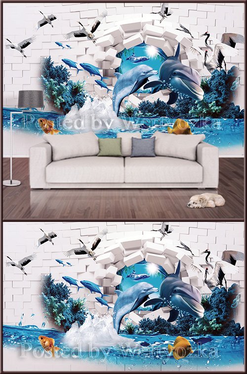 3D psd background wall dolphins fishes airists