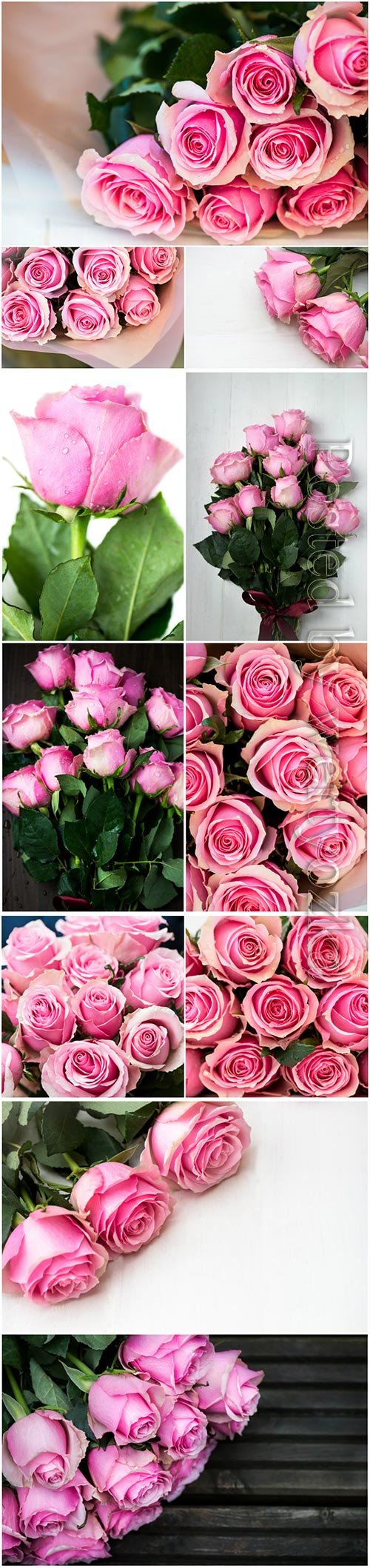 Bouquets of pink roses beautiful stock photo