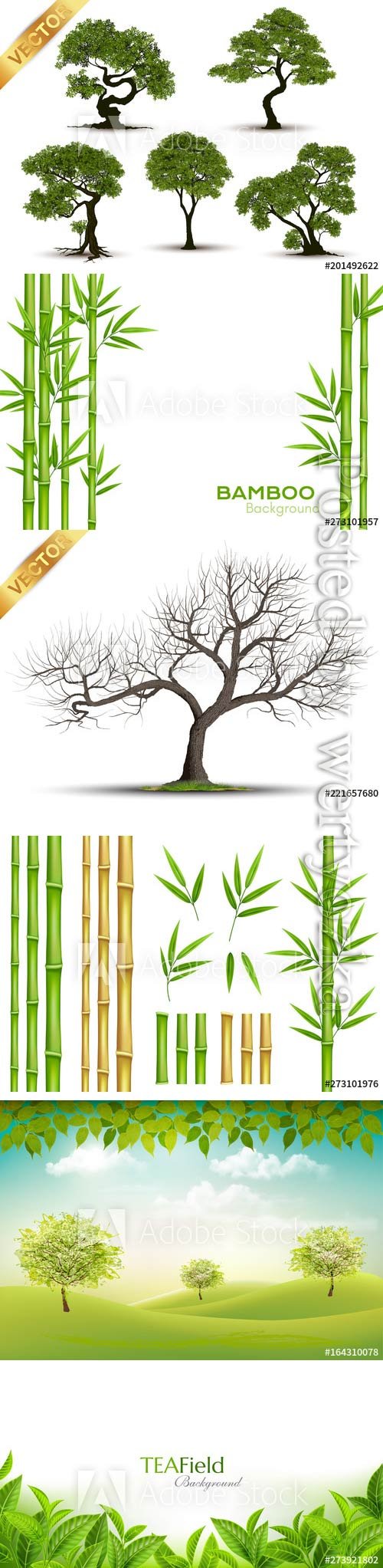 Vector trees, bamboo, green leaves
