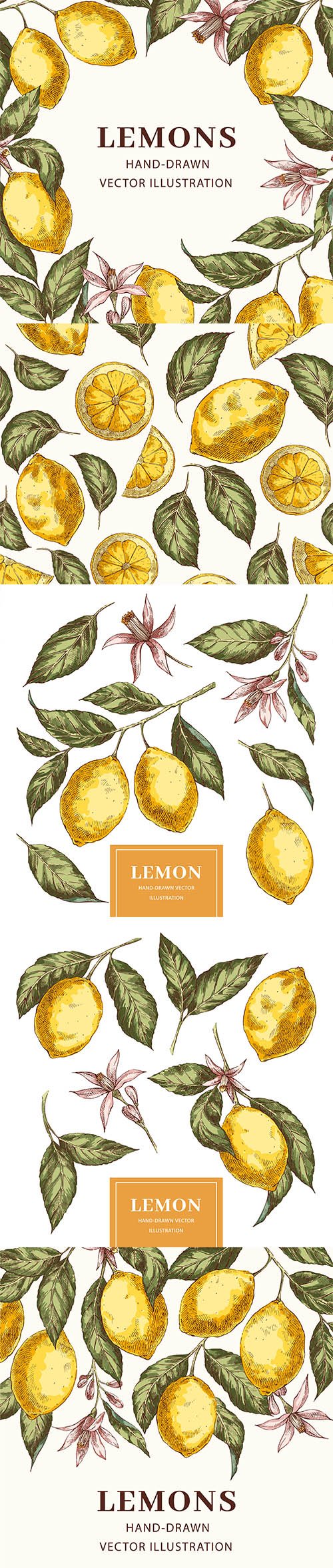 Lemons Hand-Drawn Illustrations