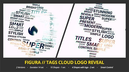 Figura // Tags Cloud Logo Reveal 12968161