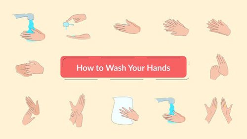 Wash Hands 26219011