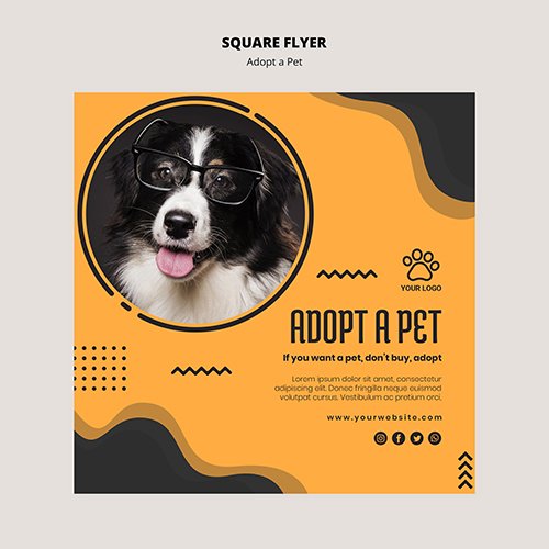 Dog with reading glasses square flyer