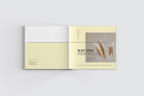 CreativeMarket - Square Natura Portfolio - 5018240