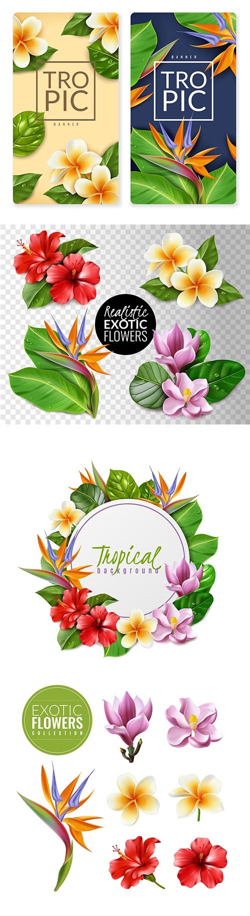 Realistic Exotic Flowers Illustration