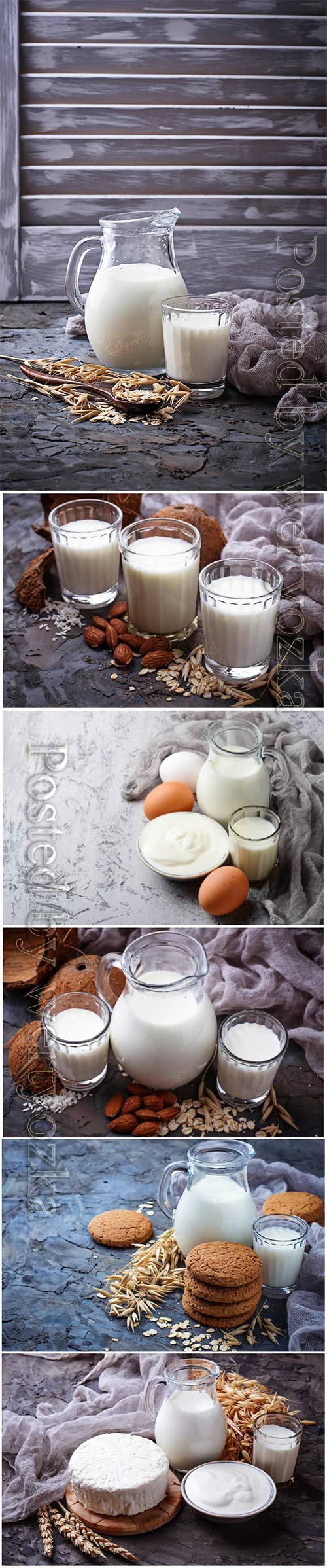Milk, sour cream and eggs