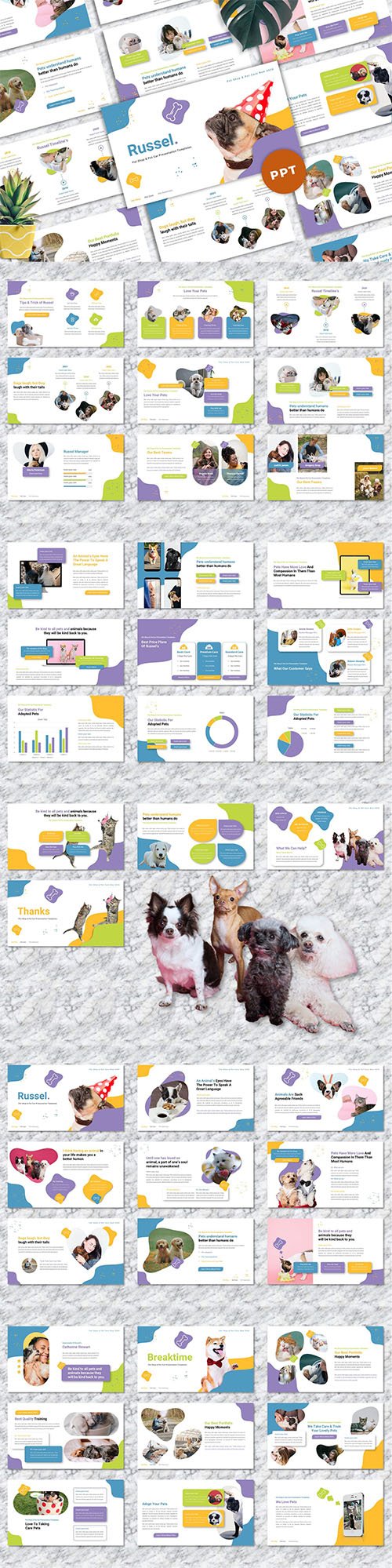 Russel - Pet Care Powerpoint Templates