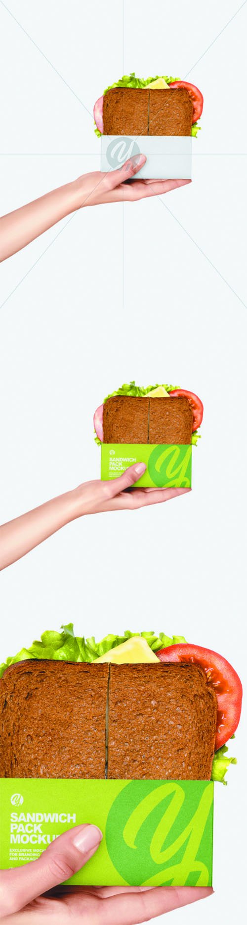Sandwich Pack in a Hand Mockup 68904 TIF