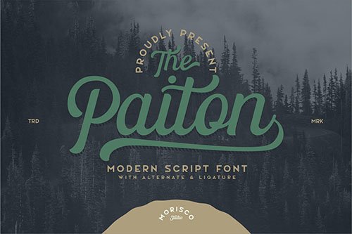 The Paiton -Modern Script Font