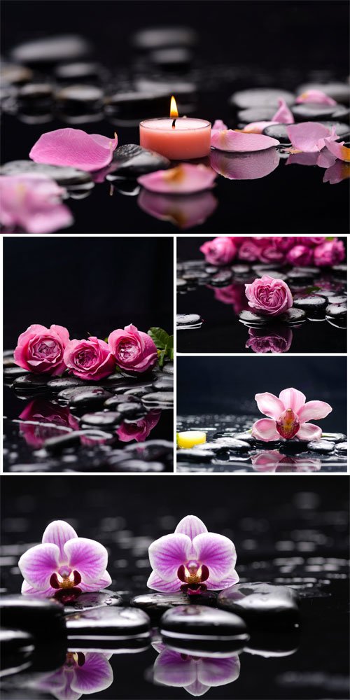 Orchid, roses and spa stones stock photo