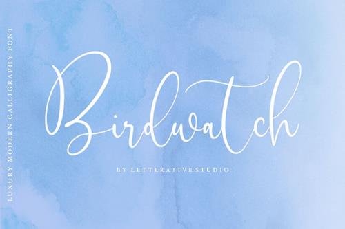 Birdwatch Script Font YH