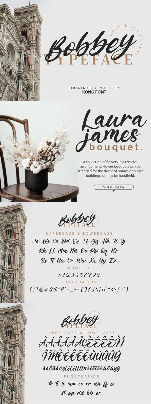 Bobbey Typeface - Modern Scipt Font [2-Weights]
