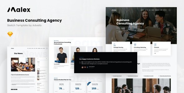 ThemeForest - Malex v1.1.0 - Business Consulting Agency Sketch Template - 28727802