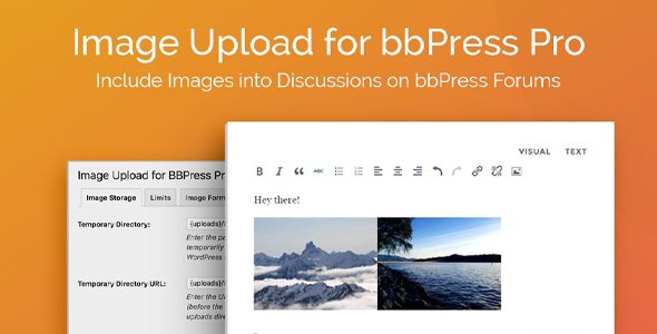Divi Space - Image Upload For Bbpress Pro v2.1.24 - NULLED