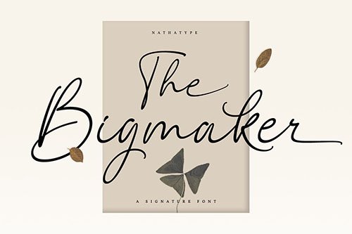 The Bigmaker