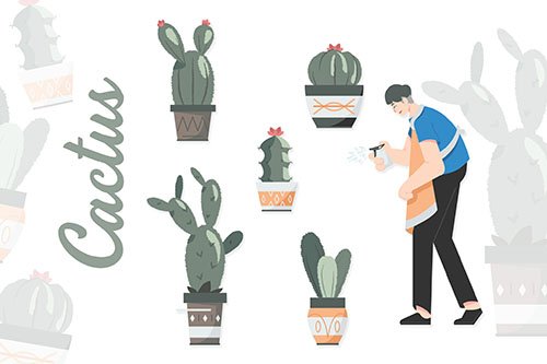 Cactus illustrations set
