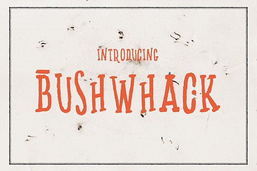 Bushwhack