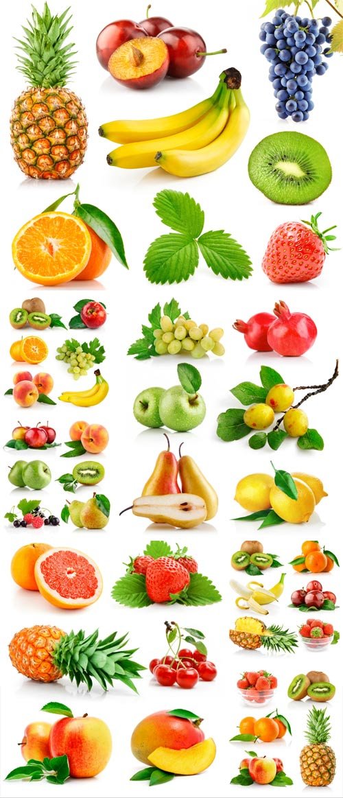 Citrus fruits and berries stock photo
