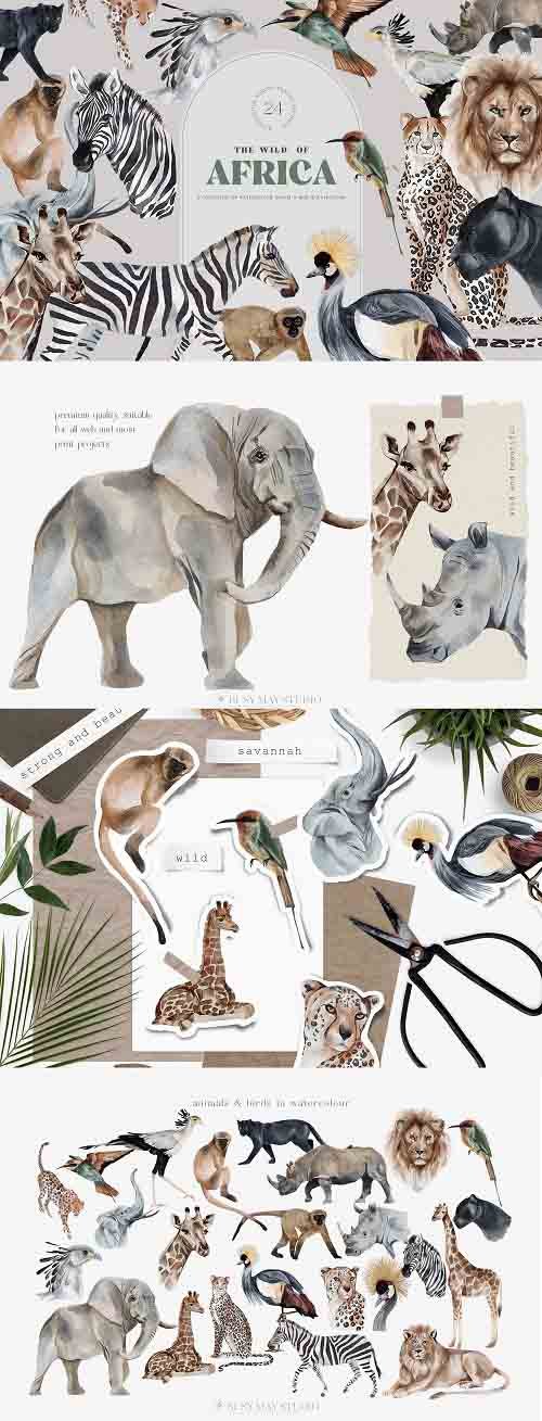 Wild Animals of Africa Illustrations Watercolor PNG - 1318248