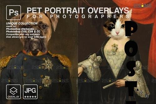 Royal Pet Portrait templates vol.20, Digital pet art - 1213590