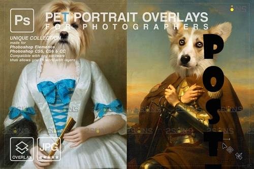 Royal Pet Portrait templates vol.18, Pet Painting - 1133448