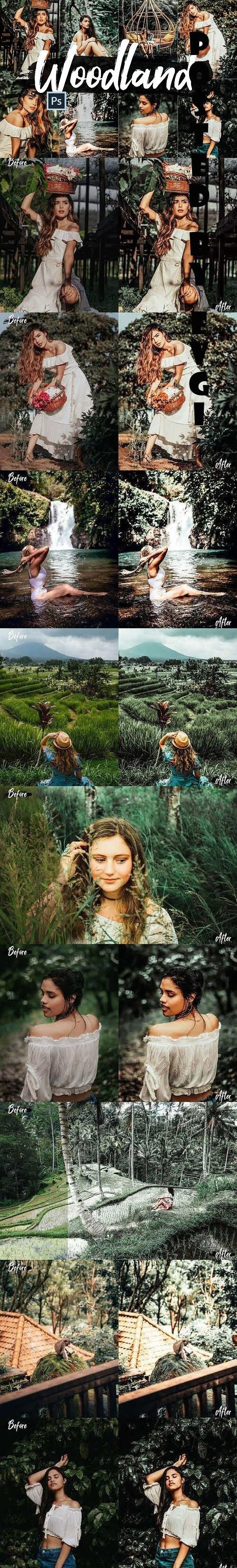 05 Woodland Photoshop Actions, ACR and LUT presets, forest - 425831