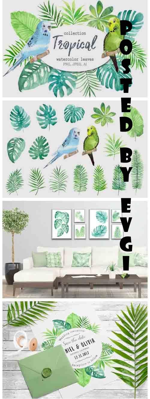 Tropical Leaves and Birds