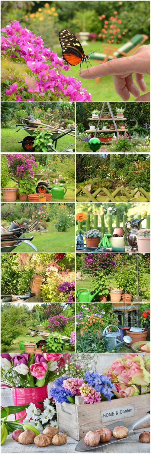 Gardening flowers and plants stock photo